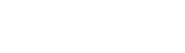 Shopify Partner