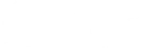 Shopify Partners